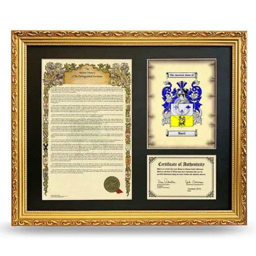 Baró Framed Surname History and Coat of Arms- Gold