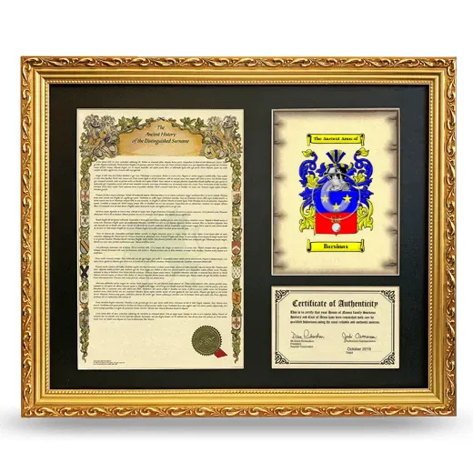 Barsinas Framed Surname History and Coat of Arms- Gold