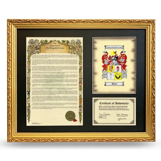Beins Framed Surname History and Coat of Arms- Gold