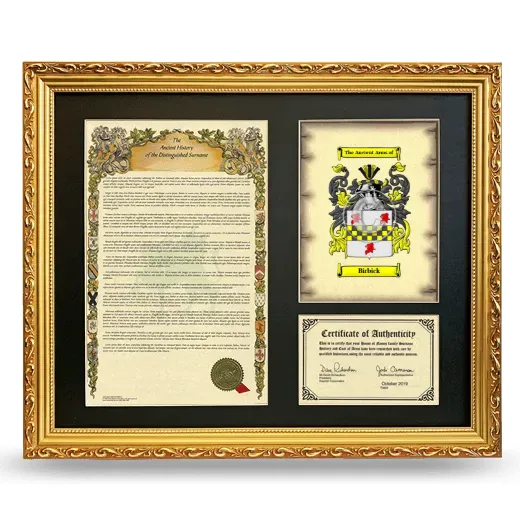 Birbick Framed Surname History and Coat of Arms- Gold