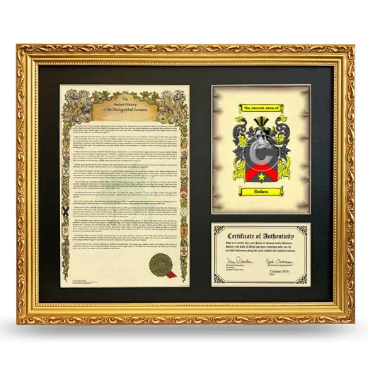 Birken Framed Surname History and Coat of Arms- Gold