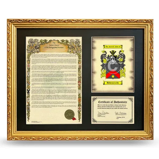 Birkenstocks Framed Surname History and Coat of Arms- Gold