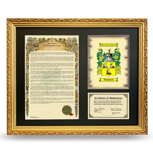 Bloodgood Framed Surname History and Coat of Arms- Gold