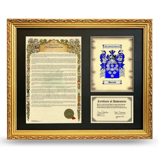 Bluemle Framed Surname History and Coat of Arms- Gold