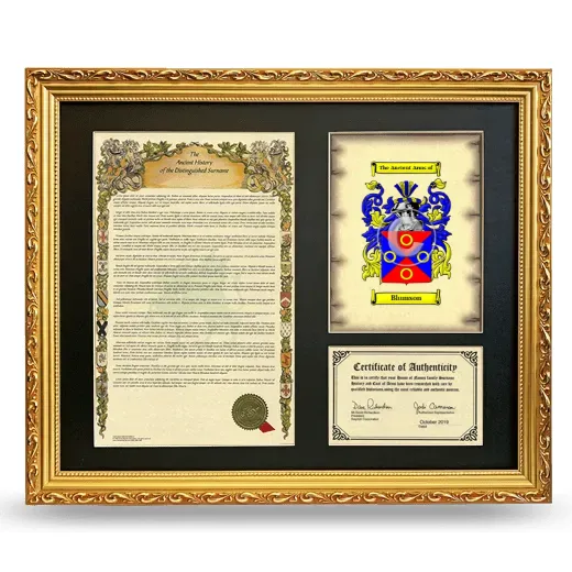 Blumson Framed Surname History and Coat of Arms- Gold
