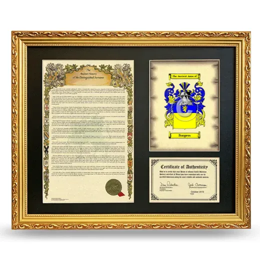Borgess Framed Surname History and Coat of Arms- Gold