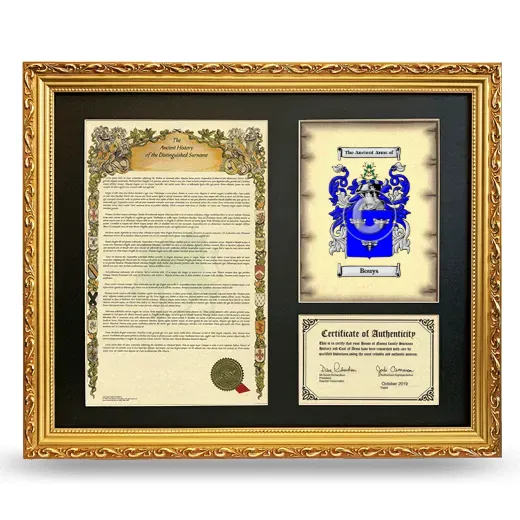 Bouys Framed Surname History and Coat of Arms- Gold