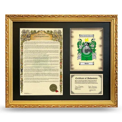 Bovie Framed Surname History and Coat of Arms- Gold