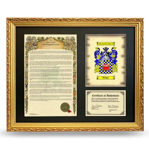 Brieger Framed Surname History and Coat of Arms- Gold