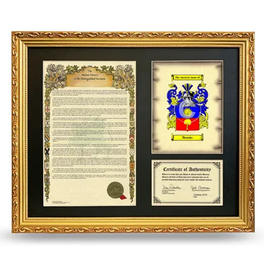 Brusin Framed Surname History and Coat of Arms- Gold