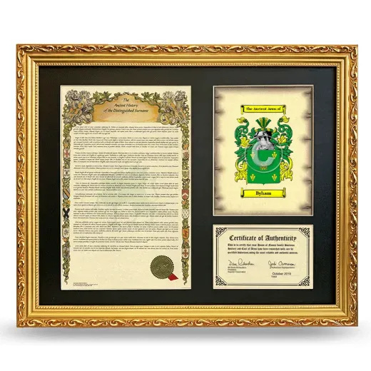 Byham Framed Surname History and Coat of Arms- Gold