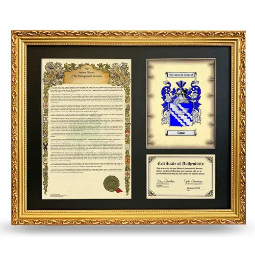 Cane Framed Surname History and Coat of Arms- Gold
