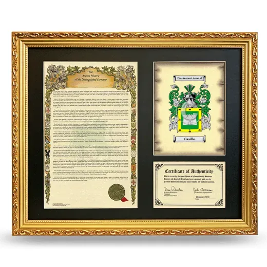 Casillo Framed Surname History and Coat of Arms- Gold