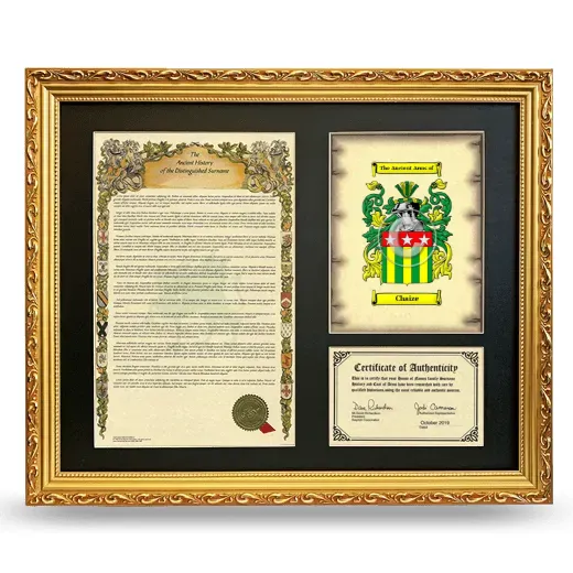 Chaize Framed Surname History and Coat of Arms- Gold