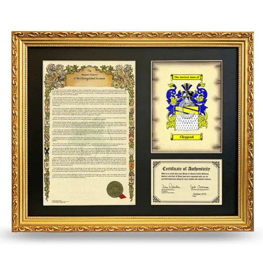 Cleypool Framed Surname History and Coat of Arms- Gold