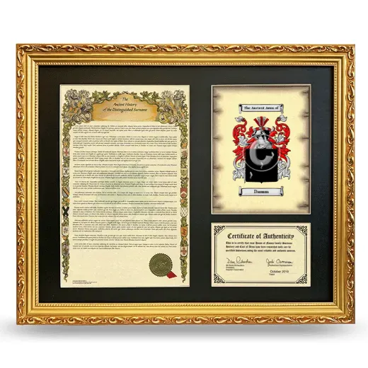 Damm Framed Surname History and Coat of Arms- Gold