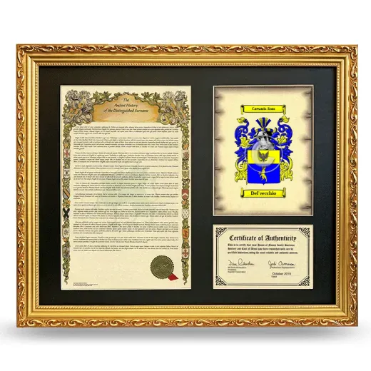 Del'vecchio Framed Surname History and Coat of Arms- Gold