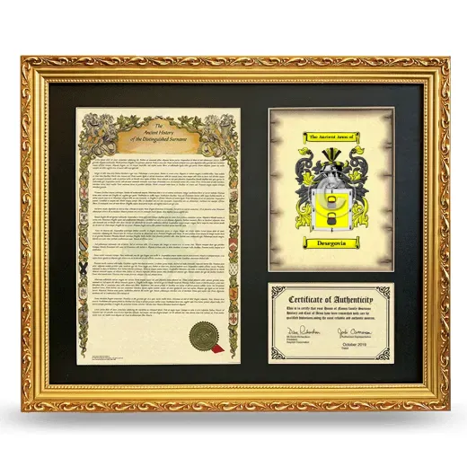 Desegovia Framed Surname History and Coat of Arms- Gold