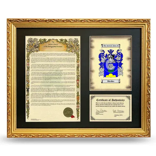 Dicolas Framed Surname History and Coat of Arms- Gold