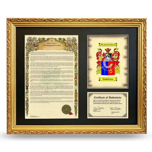 Diedrichsen Framed Surname History and Coat of Arms- Gold