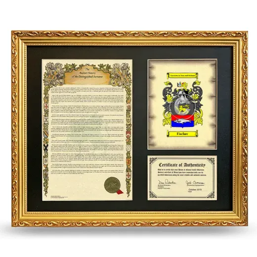Fischer Framed Surname History and Coat of Arms- Gold