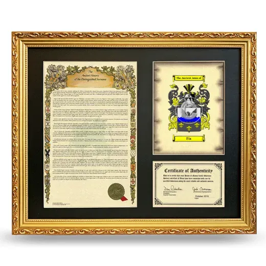Fix Framed Surname History and Coat of Arms- Gold