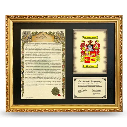 Fleuellant Framed Surname History and Coat of Arms- Gold