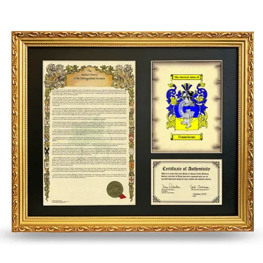 Franciscus Framed Surname History and Coat of Arms- Gold