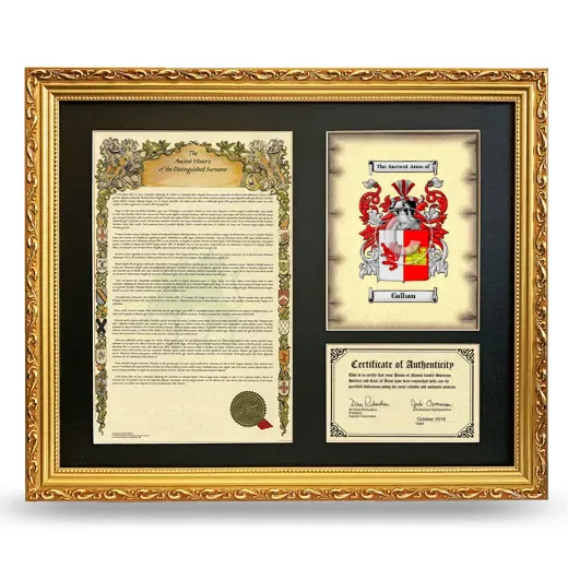 Galban Framed Surname History and Coat of Arms- Gold