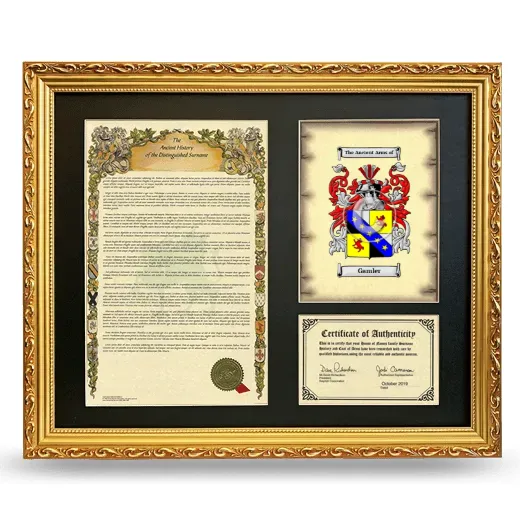 Gamler Framed Surname History and Coat of Arms- Gold