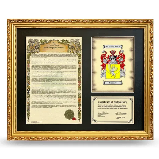 Gamser Framed Surname History and Coat of Arms- Gold