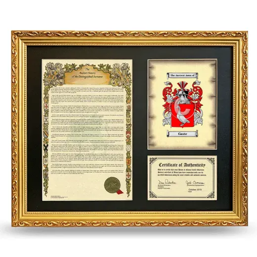 Gaste Framed Surname History and Coat of Arms- Gold
