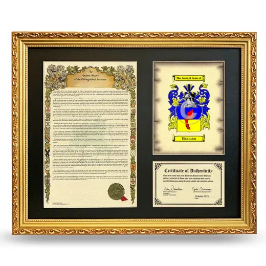 Haaman Framed Surname History and Coat of Arms- Gold