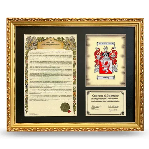 Hainey Framed Surname History and Coat of Arms- Gold