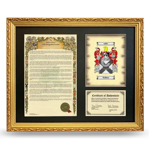 Halten Framed Surname History and Coat of Arms- Gold
