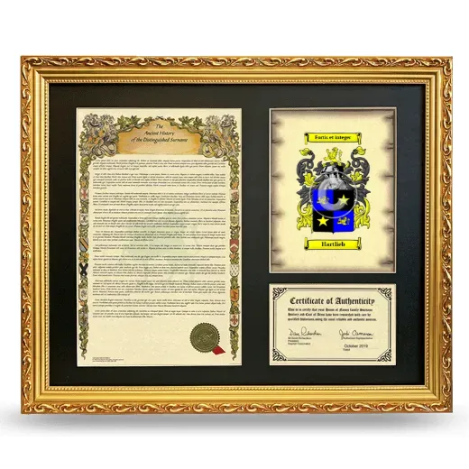 Hartlieb Framed Surname History and Coat of Arms- Gold