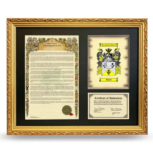 Hasel Framed Surname History and Coat of Arms- Gold
