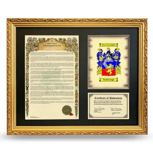 Hayborough Framed Surname History and Coat of Arms- Gold