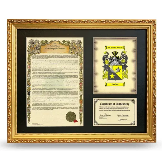 Hechel Framed Surname History and Coat of Arms- Gold