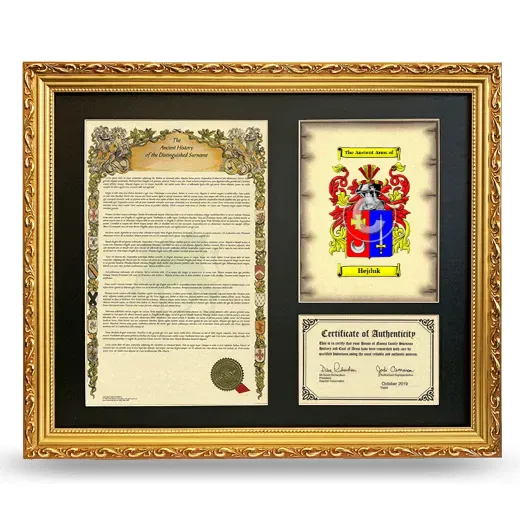 Hejduk Framed Surname History and Coat of Arms- Gold