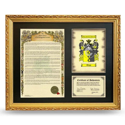 Illings Framed Surname History and Coat of Arms- Gold