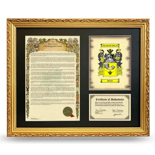 Jeune Framed Surname History and Coat of Arms- Gold