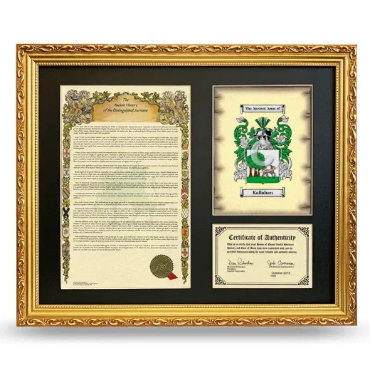 Kallahan Framed Surname History and Coat of Arms- Gold