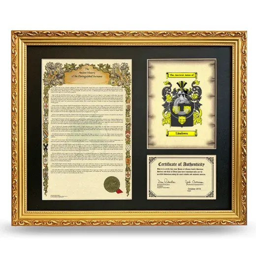 Lindeen Framed Surname History and Coat of Arms- Gold