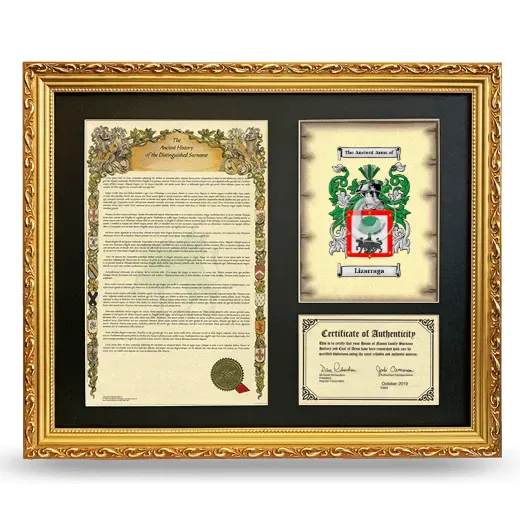 Lizarraga Framed Surname History and Coat of Arms- Gold
