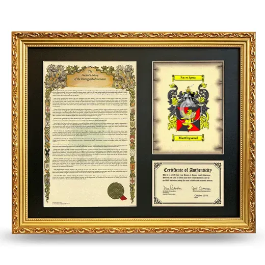 Matthysend Framed Surname History and Coat of Arms- Gold