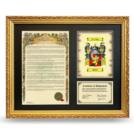 Mattis Framed Surname History and Coat of Arms- Gold