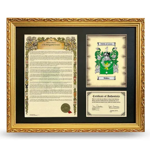 Molon Framed Surname History and Coat of Arms- Gold