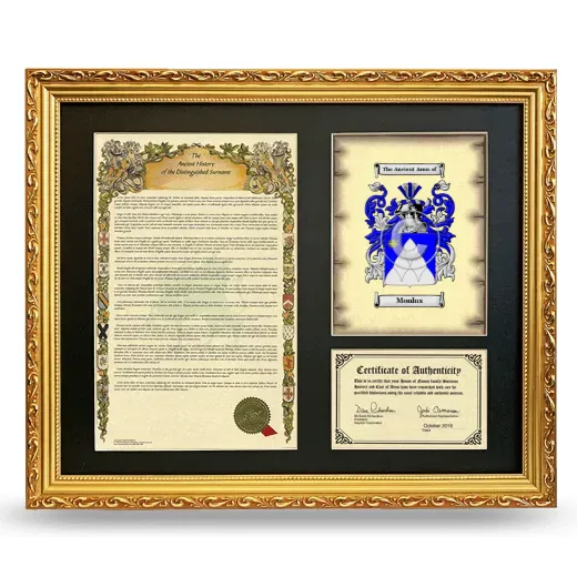 Monlux Framed Surname History and Coat of Arms- Gold