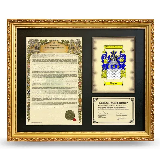 Negose Framed Surname History and Coat of Arms- Gold